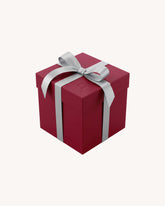 Dipping Powder Mystery Box