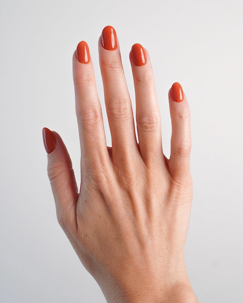 Pumpkin Pie Dipping Powder - Doonails Switzerland