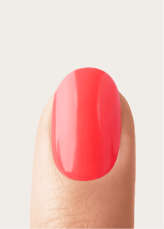 Sunset Coral