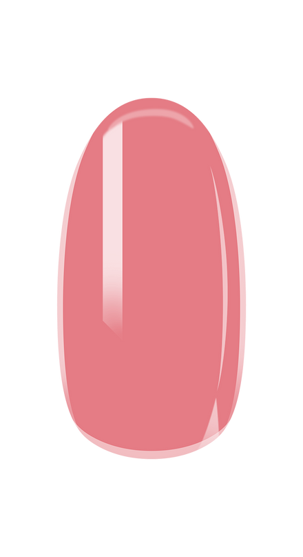 Lazy Flamingo