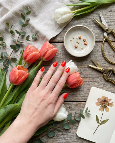 Doonails Switzerland